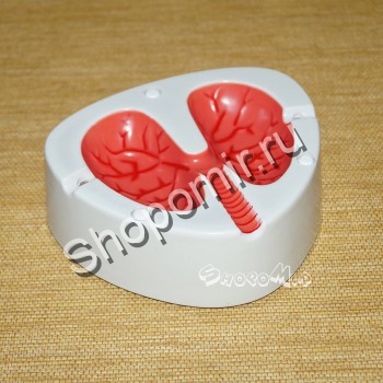 Пепельница Кашляющая